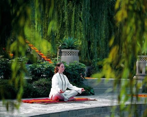 Untitled design (55)